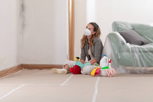 Reliable Attic Mold Removal contractor in Charlevoix, MI by WQB Mold Removal